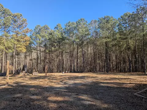 7 Riley Rd, Edgefield, SC 29824 photo 31