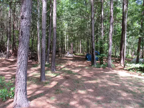7 Riley Rd, Edgefield, SC 29824 photo 23