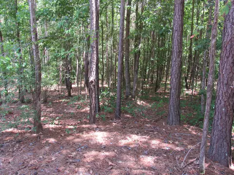 7 Riley Rd, Edgefield, SC 29824 photo 12
