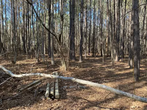 7 Riley Rd, Edgefield, SC 29824 photo 8