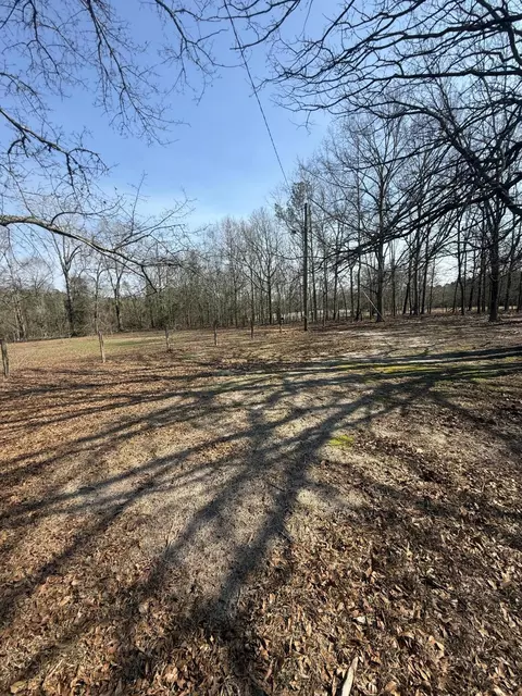 365 Shields Pond Rd, Thomson, GA 30824 photo 30