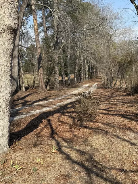 365 Shields Pond Rd, Thomson, GA 30824 photo 33
