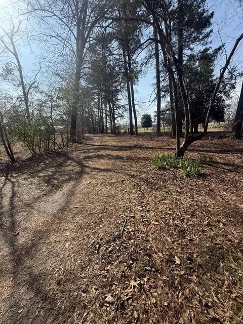 365 Shields Pond Rd, Thomson, GA 30824 photo 39