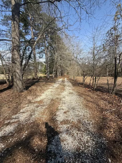 365 Shields Pond Rd, Thomson, GA 30824 photo 34