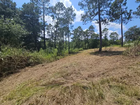 7173 Capers Path, Aiken, SC 29803 photo 20
