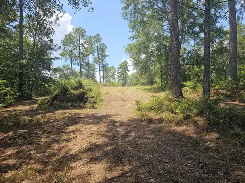 7173 Capers Path, Aiken, SC 29803 photo 15