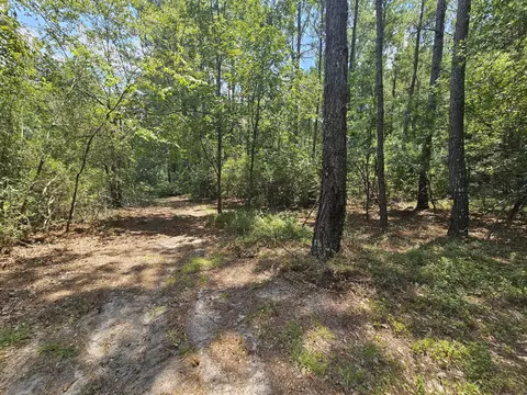 7173 Capers Path, Aiken, SC 29803 photo 24