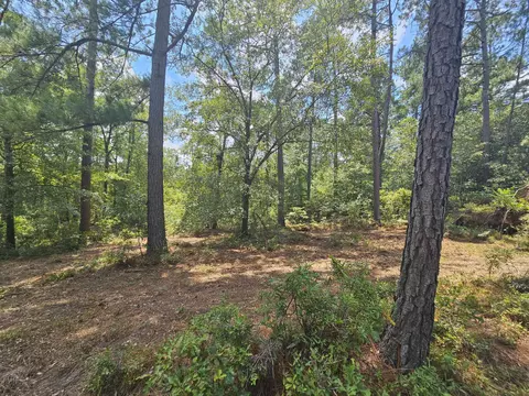 7173 Capers Path, Aiken, SC 29803 photo 14