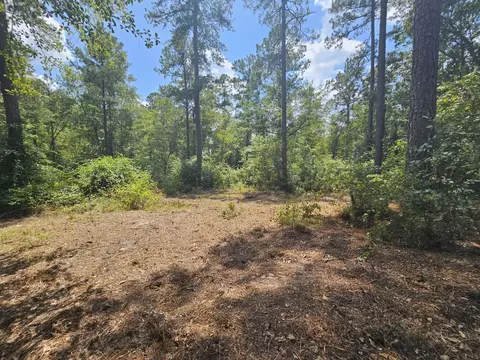 7173 Capers Path, Aiken, SC 29803 photo 17