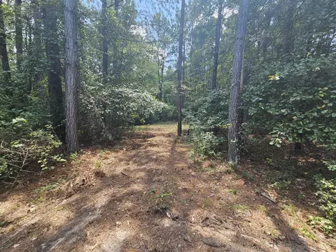 7173 Capers Path, Aiken, SC 29803 photo 19