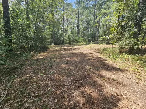 7173 Capers Path, Aiken, SC 29803 photo 12