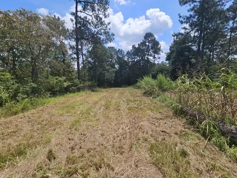 7173 Capers Path, Aiken, SC 29803 photo 22