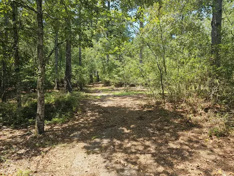 7173 Capers Path, Aiken, SC 29803 photo 16