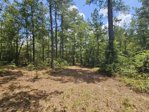 7173 Capers Path, Aiken, SC 29803 photo 18