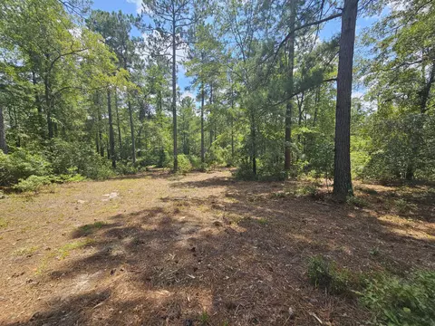 7173 Capers Path, Aiken, SC 29803 photo 23