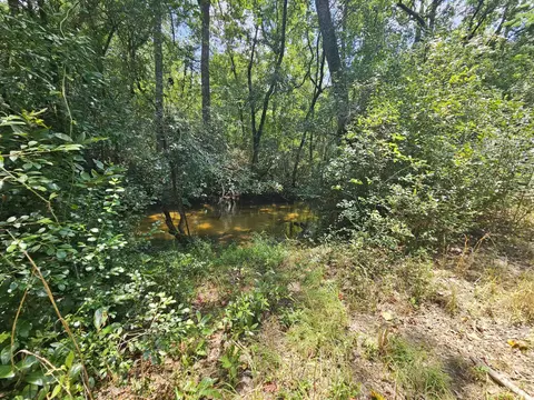 7173 Capers Path, Aiken, SC 29803 photo 26