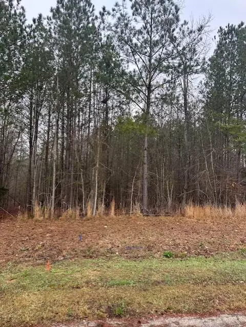 40 Landing Loop, Lincolnton, GA 30817