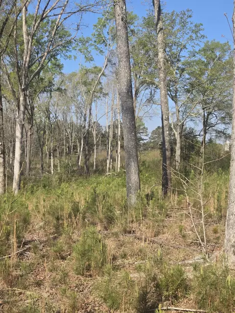 0 Mercier Rd, Lincolnton, GA 30817