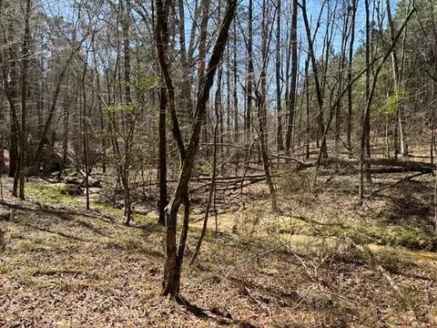 0 Twin Pine Rd, Thomson, GA 30824