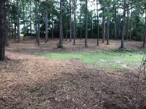 00 University Pkwy, Aiken, SC 29801