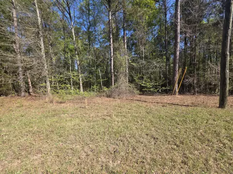 Tract B Georgia 102, Gibson, GA 30810