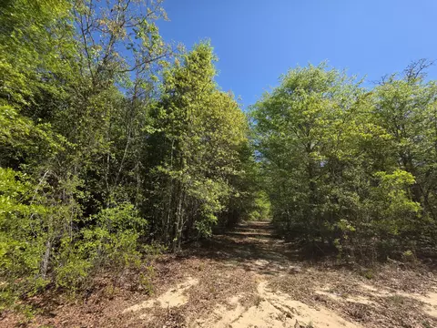 lot5 Briarwood Dr, Williston, SC 29853