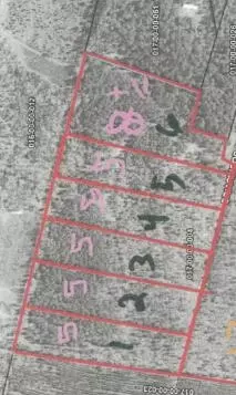 lot6 Briarwood Dr, Williston, SC 29853