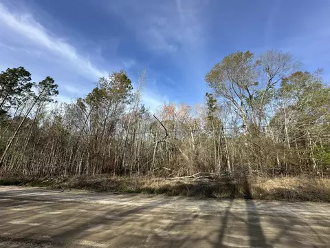 lot12 Robin Blvd, Swainsboro, GA 30401