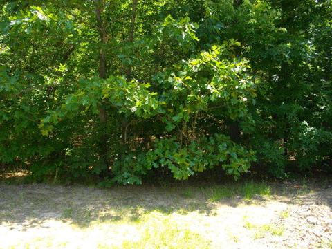 10685 Mckenzie Rd, Bailey, NC 27807 photo 1