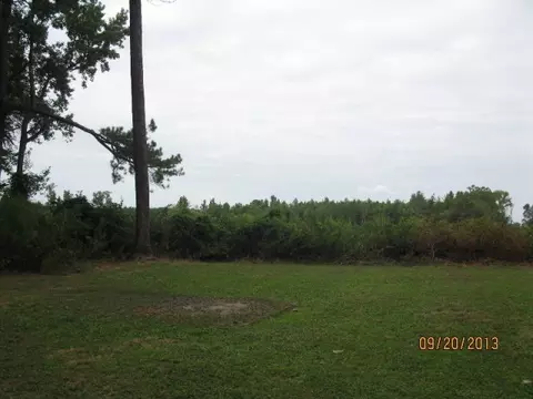 4408 Pine Tree Ct, Wilson, NC 27893 photo 2