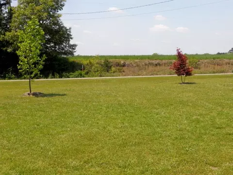 7966 Stott Rd, Bailey, NC 27807 photo 22