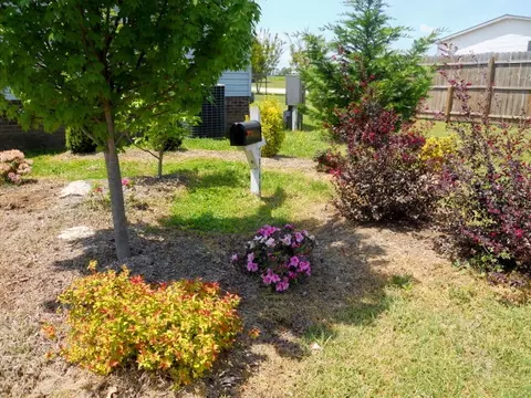 7966 Stott Rd, Bailey, NC 27807 photo 21