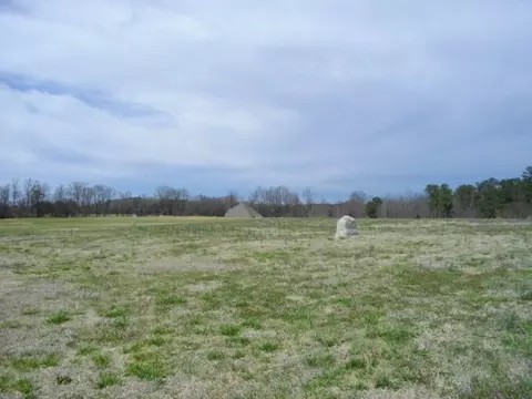 8350 Byrd Rd, Sims, NC 27880 photo 17