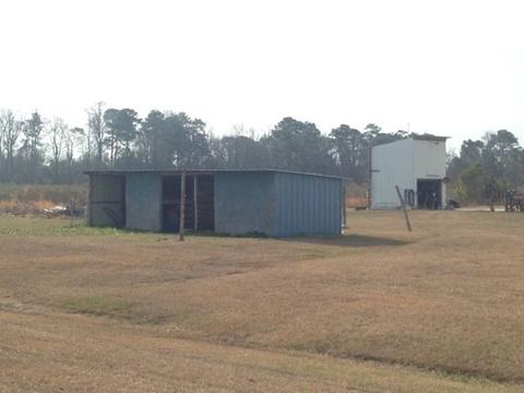 2344 Grantham School Rd, Mount Olive, NC 28365 photo 4
