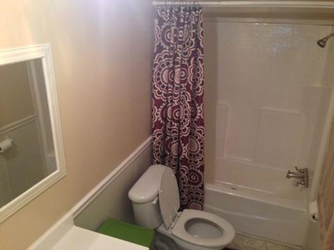 2344 Grantham School Rd, Mount Olive, NC 28365 photo 10