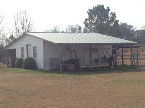 2344 Grantham School Rd, Mount Olive, NC 28365 photo 3
