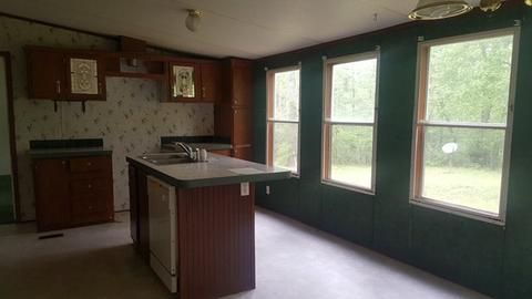 569 Mitchell Rd, Dudley, NC 28333 photo 4