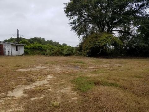 103 Oriole Pl, Dudley, NC 28333 photo 3