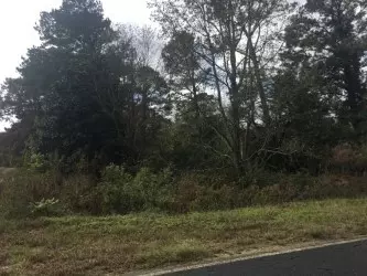 1035 Taylor Town Rd, Faison, NC 28341 photo 1