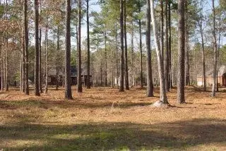 208 Perquimans Dr, Chocowinity, NC 27817 photo 1