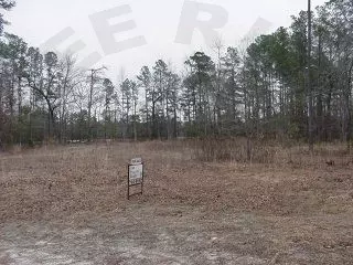 1084 Tall Timbers Ln, Williamston, NC 27892 photo 1