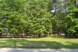 113 Thames Ln, Chocowinity, NC 27817 photo 1