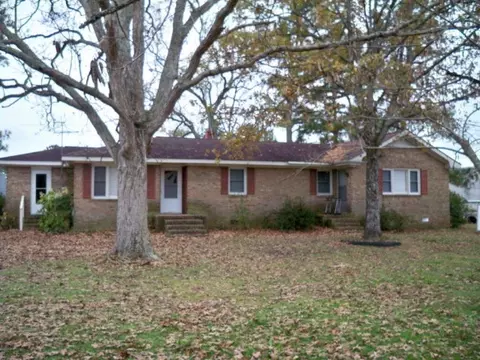 246 Loop Rd, Belhaven, NC 27810 photo 1