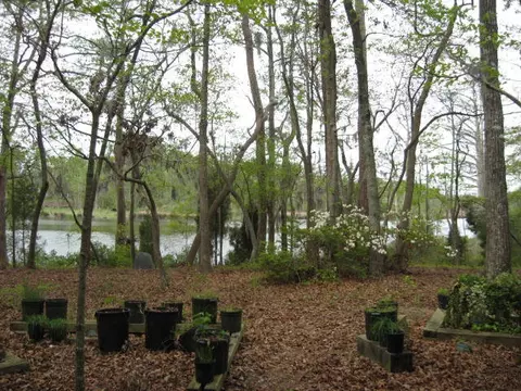 542 Sawmill Landing Rd, Bath, NC 27808 photo 22
