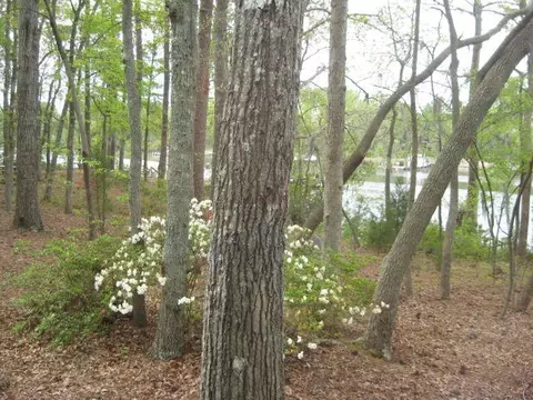 542 Sawmill Landing Rd, Bath, NC 27808 photo 19