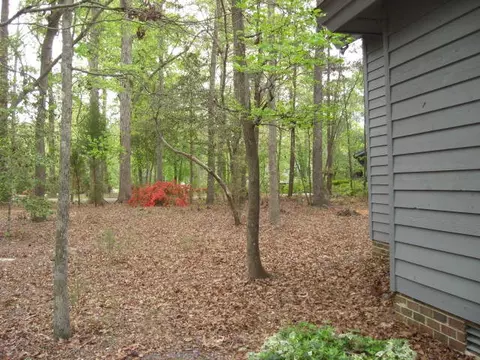 542 Sawmill Landing Rd, Bath, NC 27808 photo 21