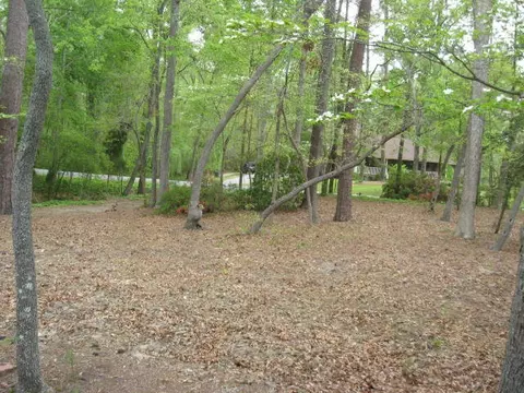 542 Sawmill Landing Rd, Bath, NC 27808 photo 20