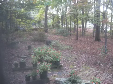 542 Sawmill Landing Rd, Bath, NC 27808 photo 2