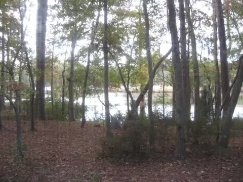 542 Sawmill Landing Rd, Bath, NC 27808 photo 3