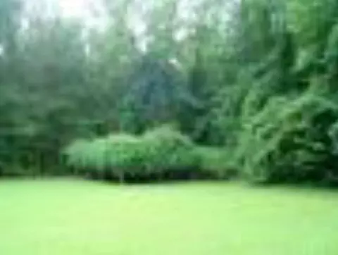 103 Main St, Edward, NC 27821 photo 4